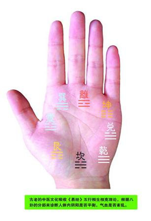 手相与健康（徐雅萱）