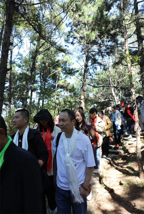 54610d2144e333b34031d3eca8f6f02